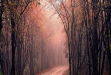 2-6惨败！37岁丁俊晖输49岁老将：惨遭3连败+短.