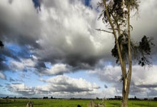 [NBA]四星同台 湖人赢下“洛城德比”.