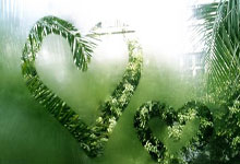 马克-威廉姆斯：每次出杆眼前都很模糊，丁俊晖.