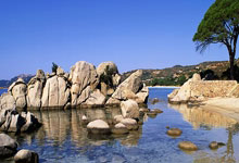 爱游戏:菲律宾小将伊埃拉2-0淘汰斯瓦泰克,连克两位世界前5晋级四强.